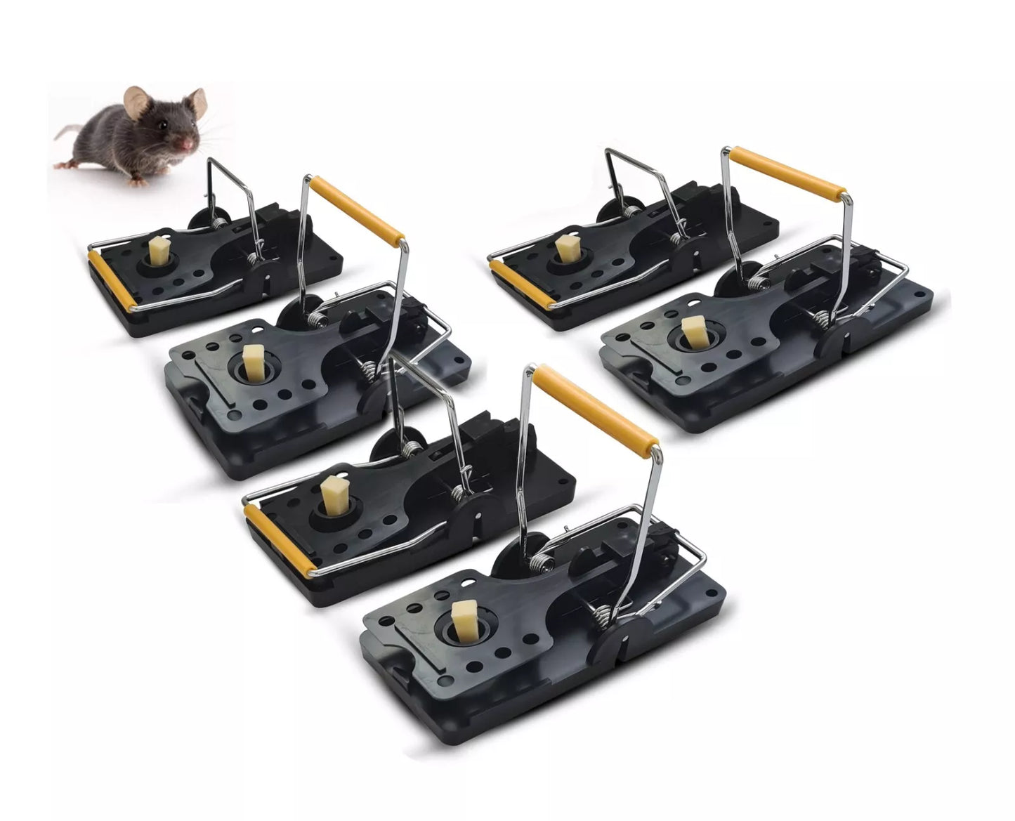 Batuutah larger rodents Trap