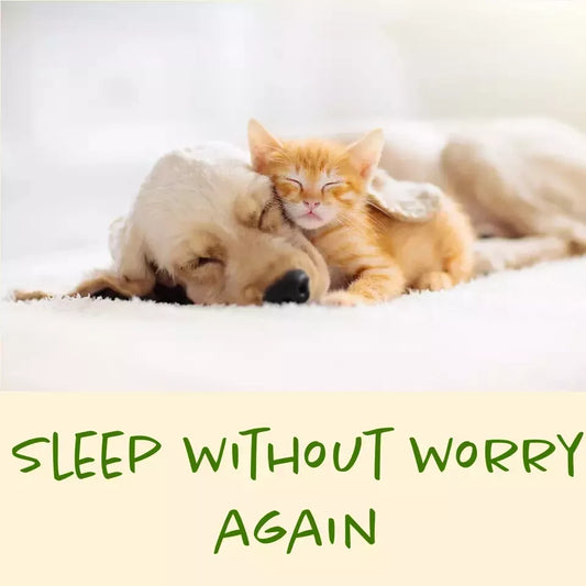 Batuutah Natural Bed Bug Spray 2.5 Litres non-staining Formula