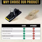 Batuutah 8 Pack Large 14cm Rat Trap
