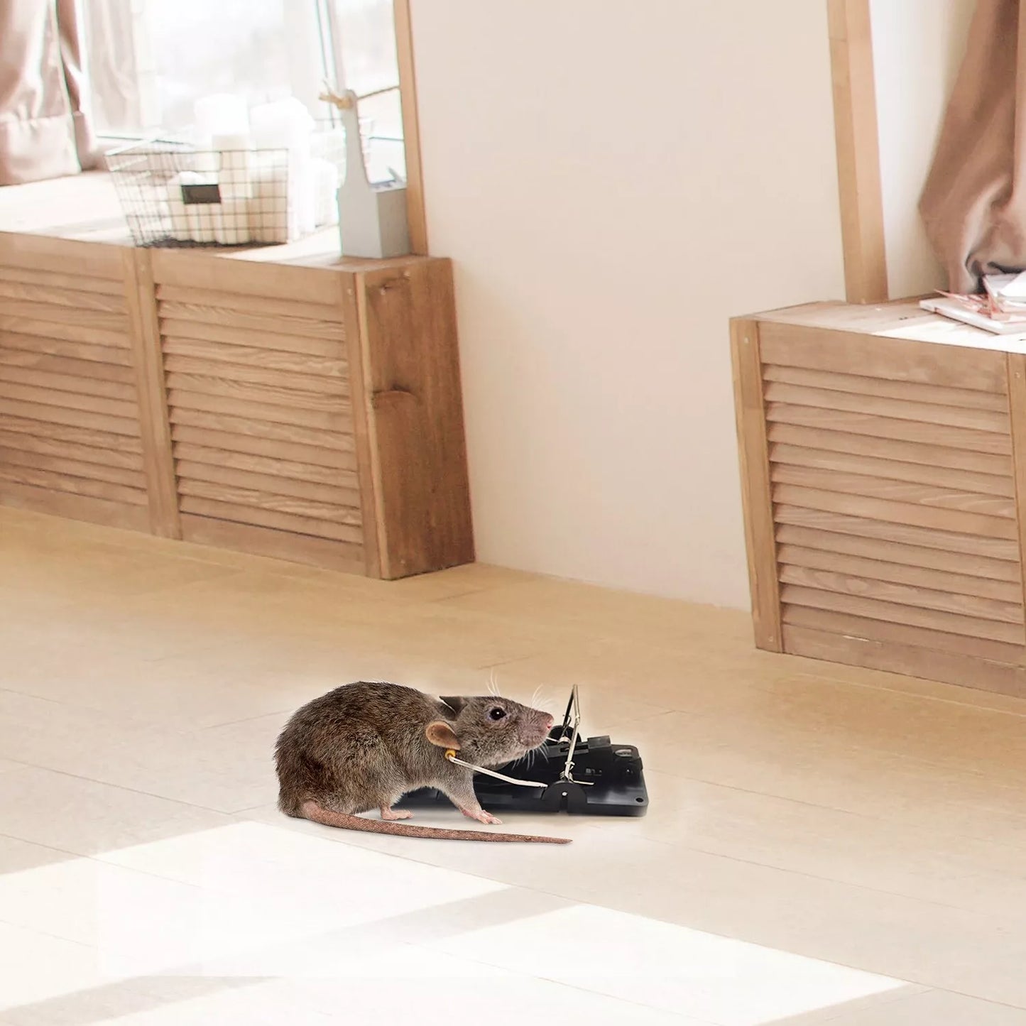 Batuutah Large 14cm Mouse Rat Traps Big Rodent Trap Catcher
