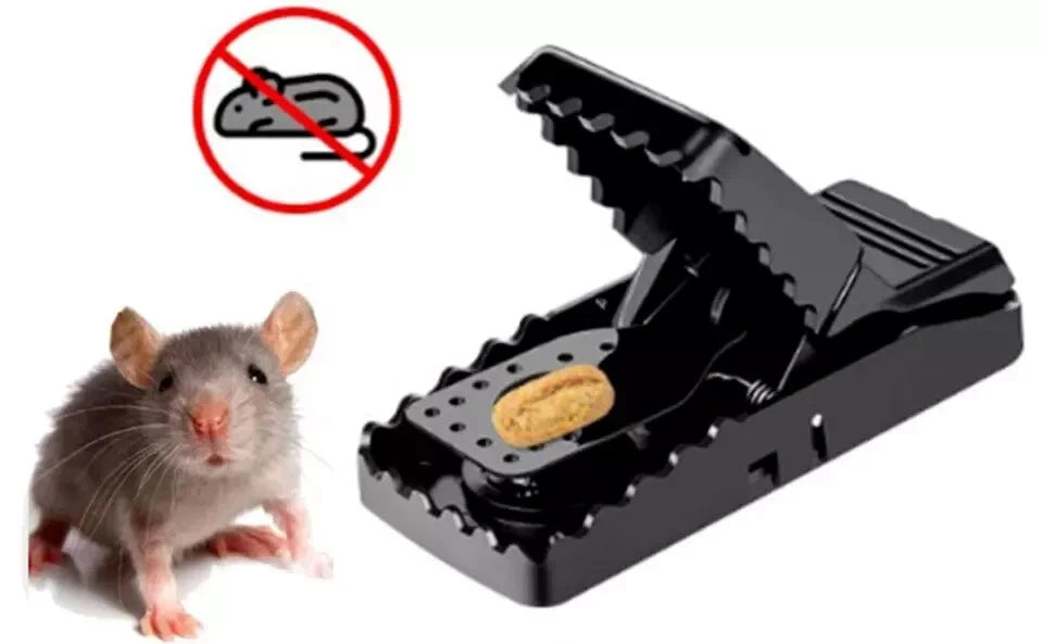 Batuutah XXL rat traps