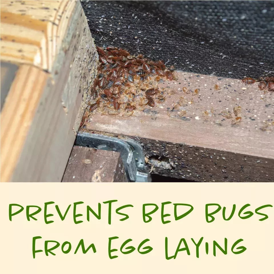 Batuutah 2.5-liter container Bed Bug Spray