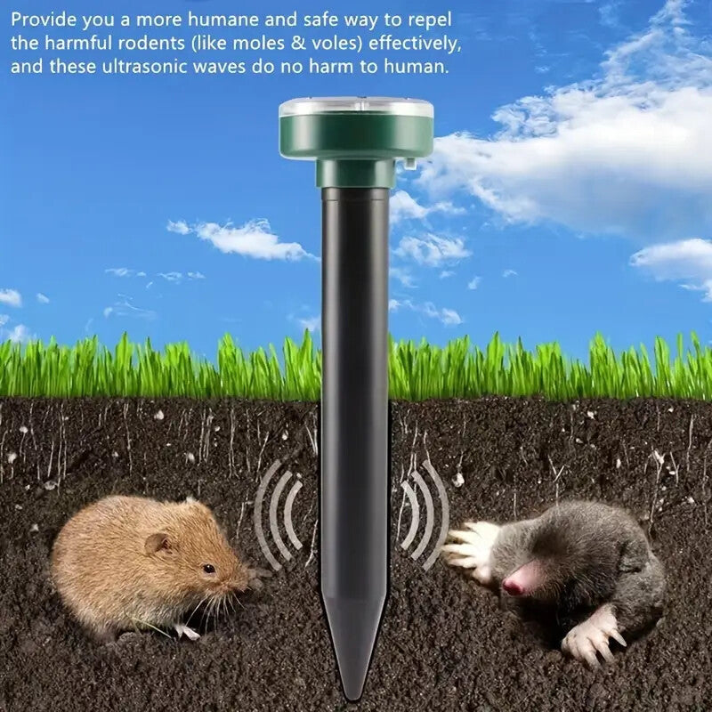 267507