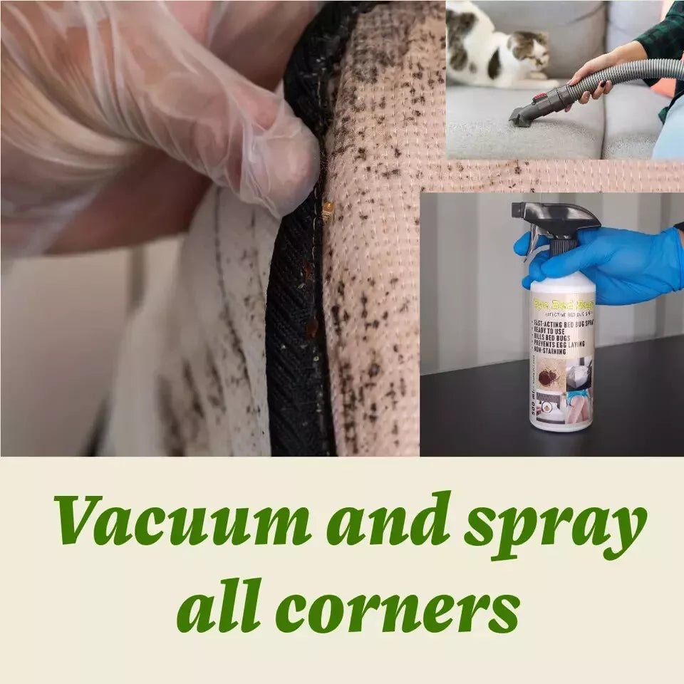 Batuutah Bed Bug Spray 5 Liters