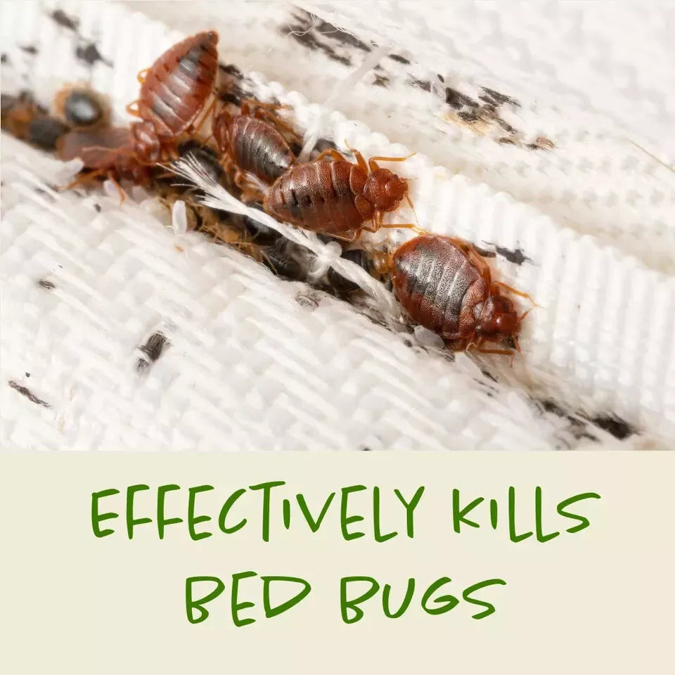 Batuutah Bed Bug Spray - 5L + 500ml Non-Staining Long-Lasting Treatment
