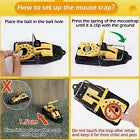 Batuutah 14cm long Trap Rodent catcher