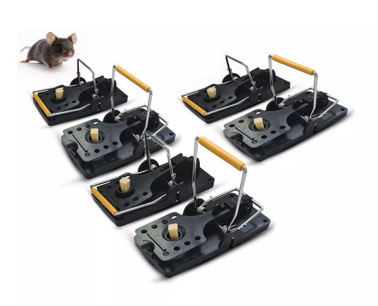 Batuutah    larger rodents  Trap