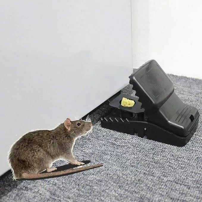 Batuutah  21cm XXL Rat Traps Trap Catcher 3 Pack