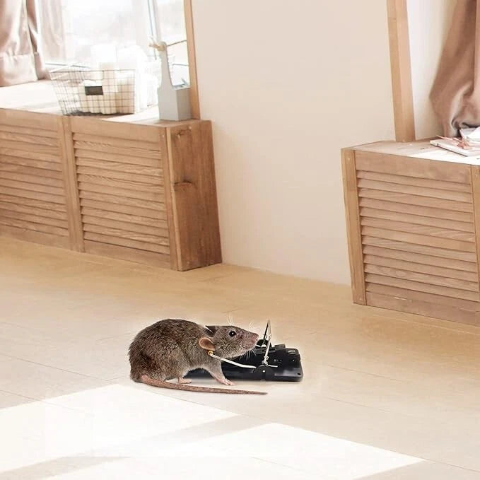 Batuutah Mouse Mice Traps Indoor Rodent Snap Traps Effective 6 Pack