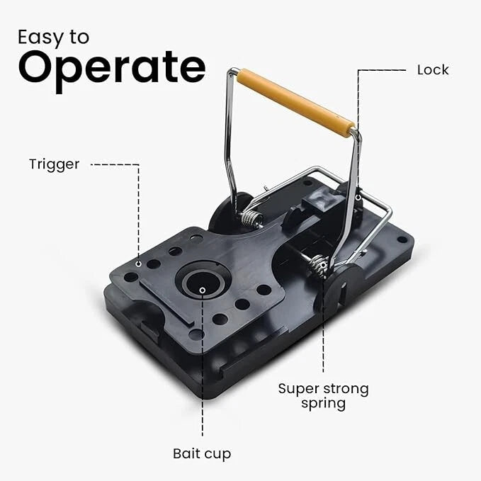 Batuutah Mouse Mice Traps Indoor Rodent Snap Traps Effective 6 Pack