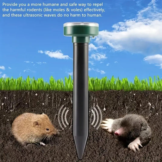 267507