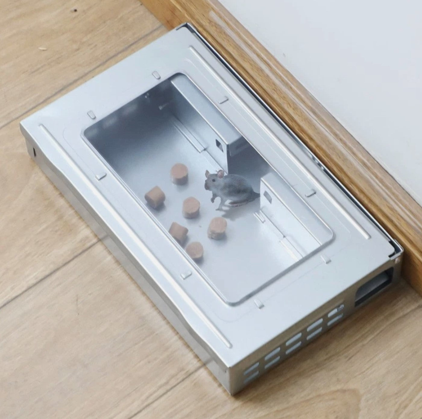 Humane Metal Mice Mouse Bait Station With Clear Window High-quality