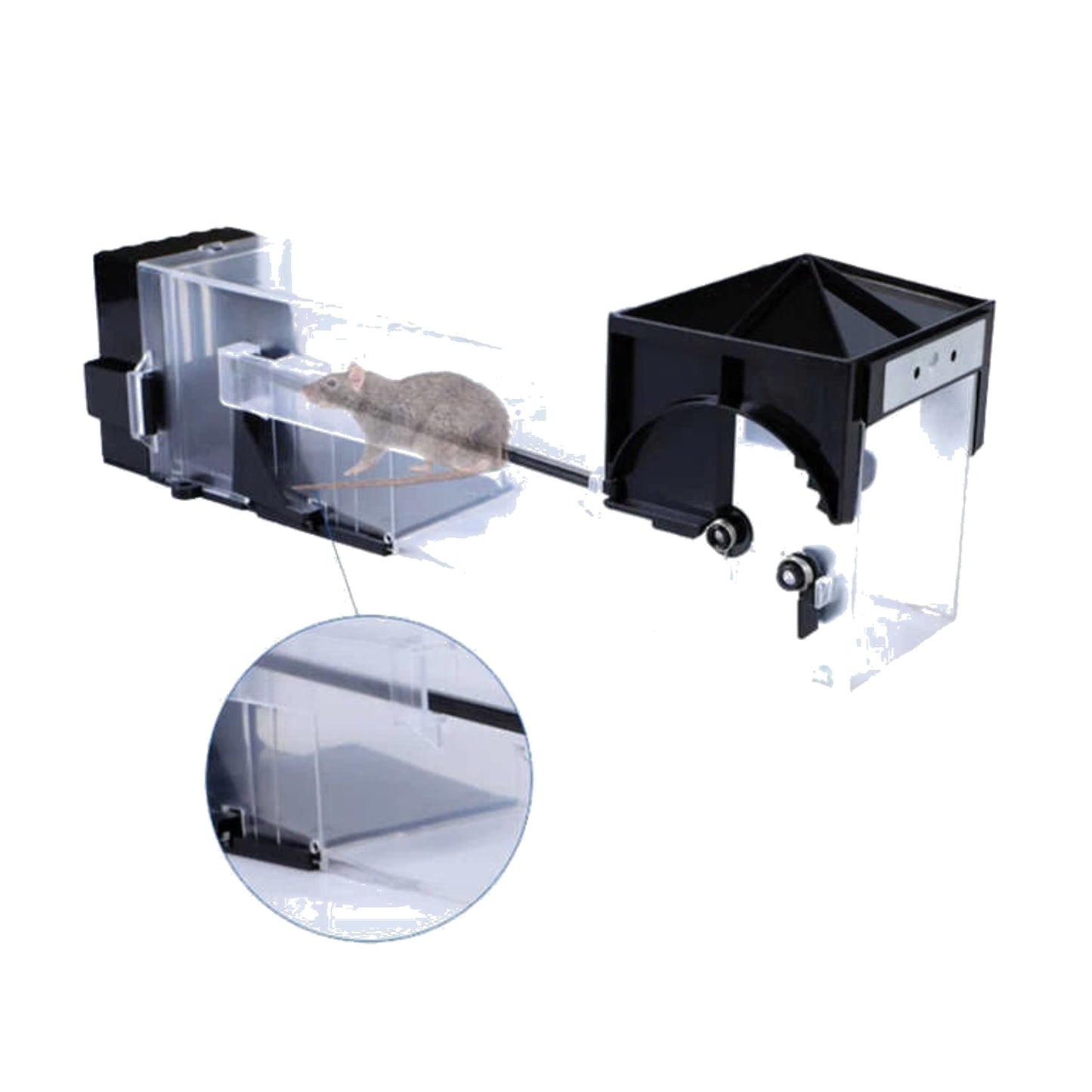Large Humane Rat Traps High Quality Transparent Durable Indoor & Outdoor Pack Of 4