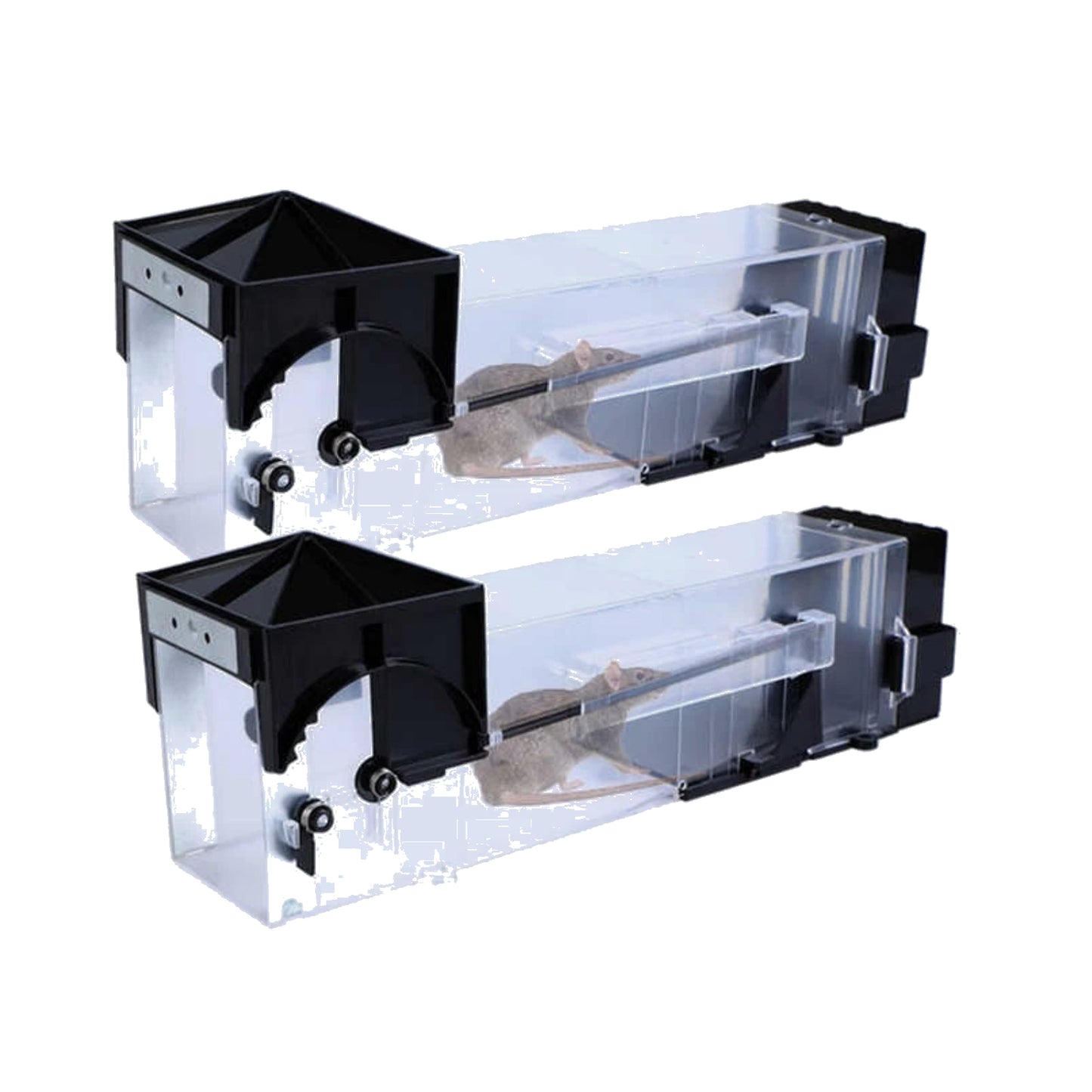 Large Humane Rat Traps High Quality Transparent Durable Indoor & Outdoor Pack Of 4
