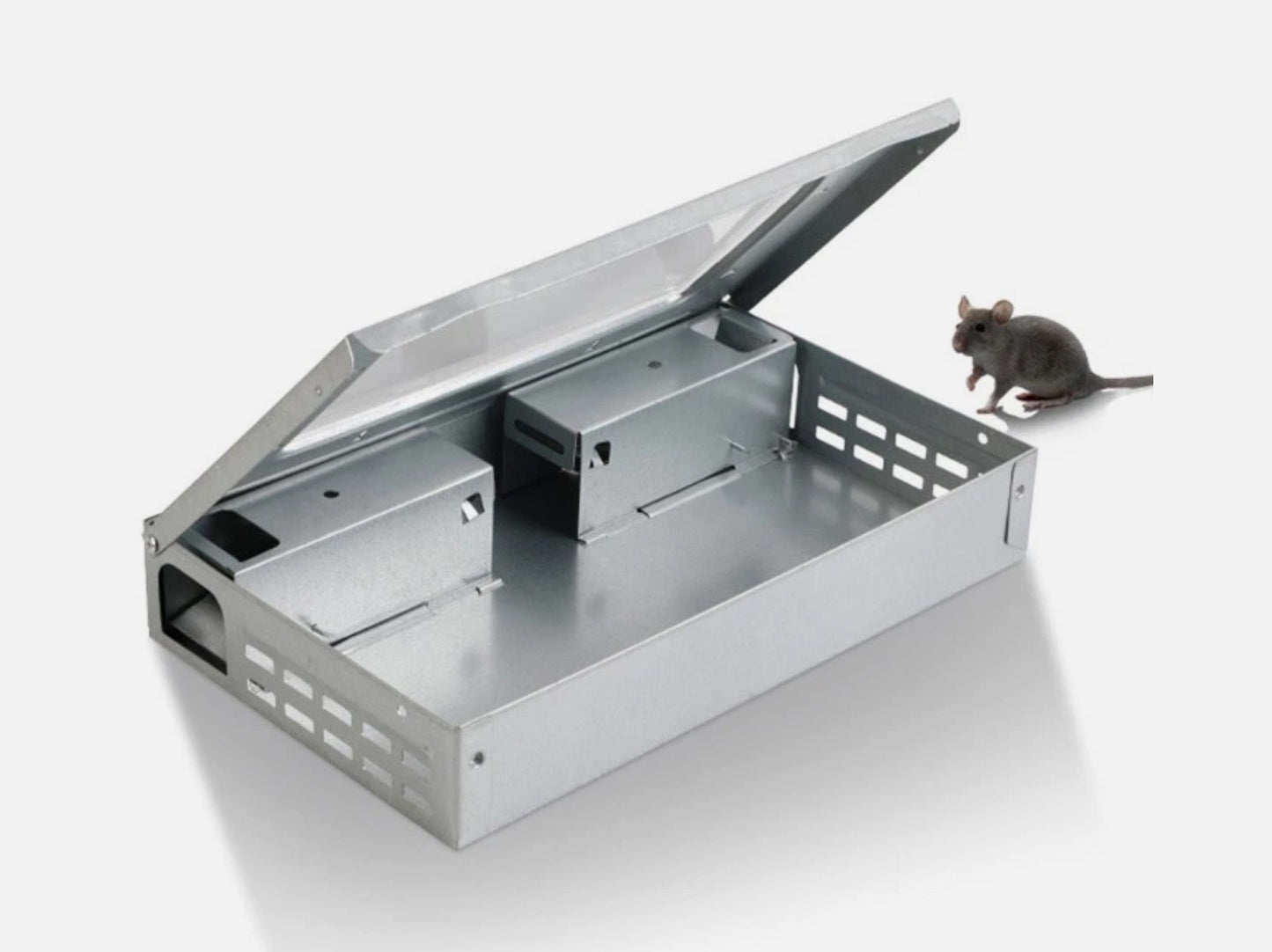 Humane Metal Mice Mouse Bait Station With Clear Window High-quality